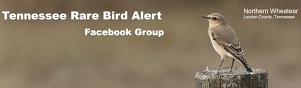 Tennessee Rare Bird Alerts via Facebook