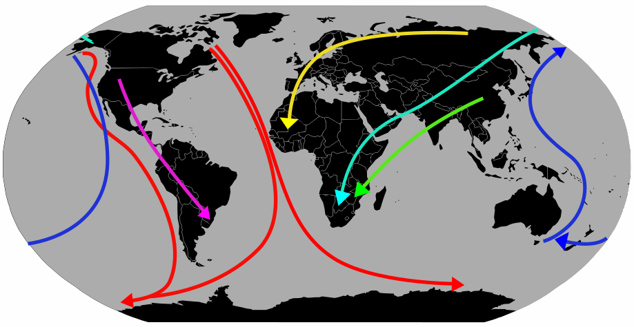 Bird Migration Routes